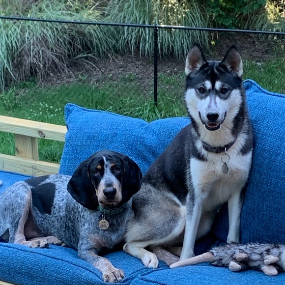 OFFERS WELCOME! πΈπ - Picture 5 of 10